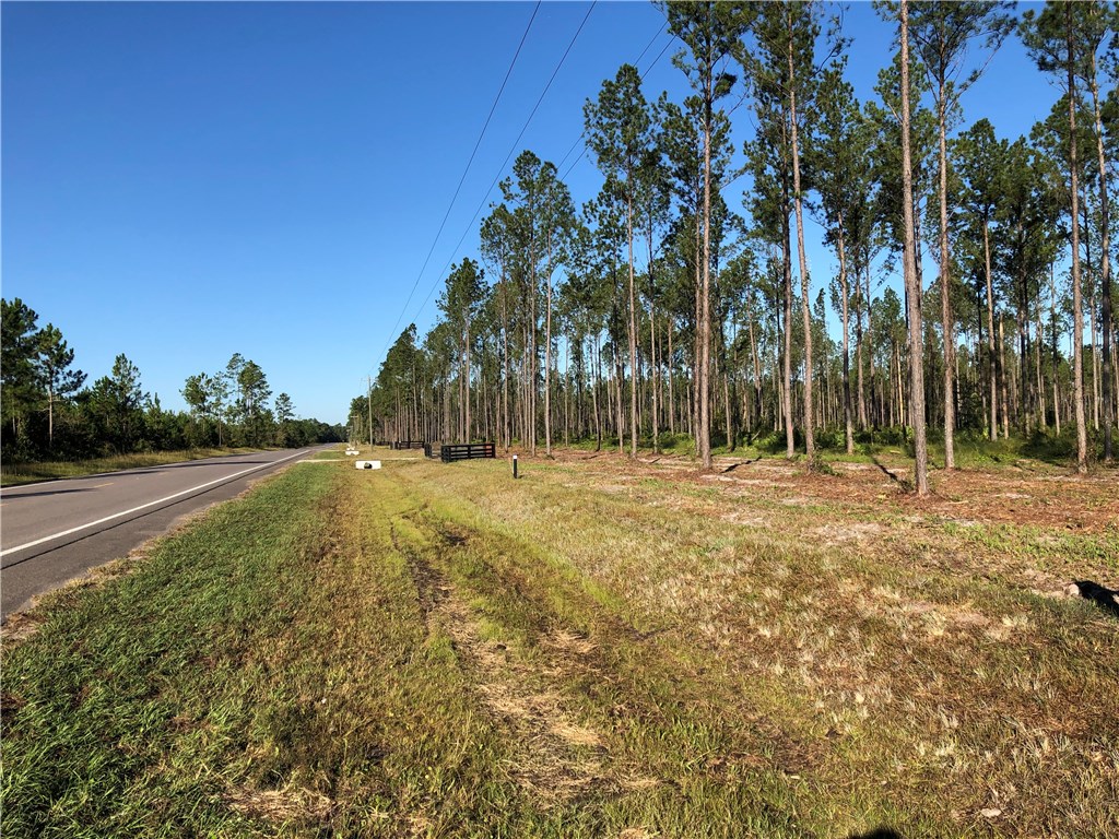 Lot 10 County Road Hilliard, FL 32046 - Photo 8 of 16