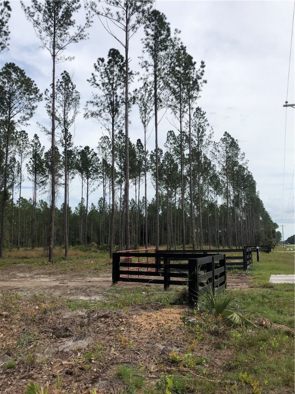 Lot 10 County Road Hilliard, FL 32046 - Photo 9 of 16 a backyard of a house with lots of green space