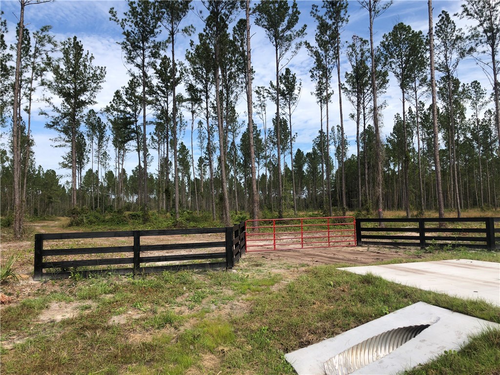 Lot 10 County Road Hilliard, FL 32046 - Photo 10 of 16 a view of park with wooden stairs and bench