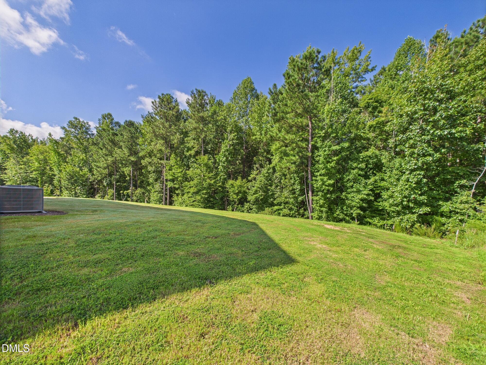 110 Symmetry Loop Youngsville, NC 27596 - Photo 66 of 72 a backyard of a house with lots of green space and outdoor seating