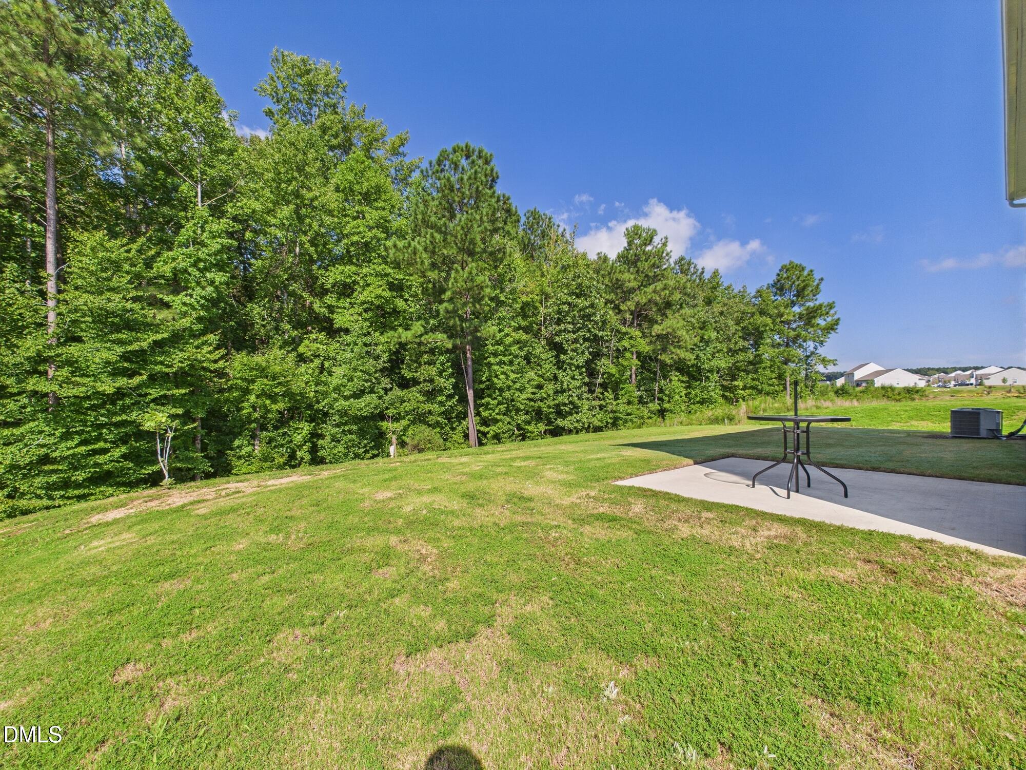 110 Symmetry Loop Youngsville, NC 27596 - Photo 70 of 72 a view of a yard with a house