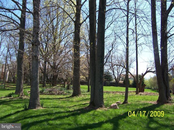 205 Montvale Terrace Silver Spring, MD 20904 - Photo 28 of 30 Backs to trees