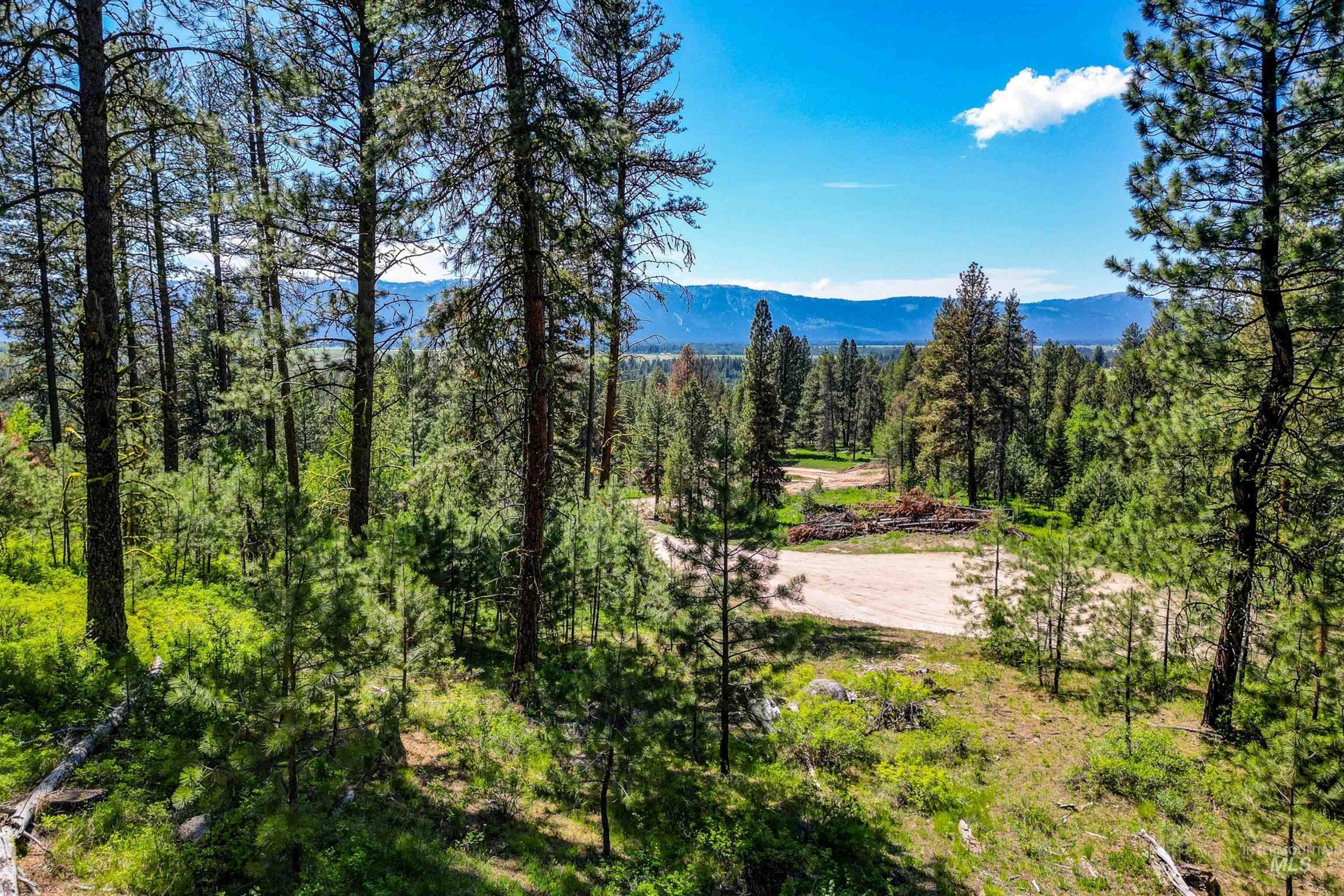 Lot 2 Hideout Road Donnelly, ID 83615 - Photo 5 of 12