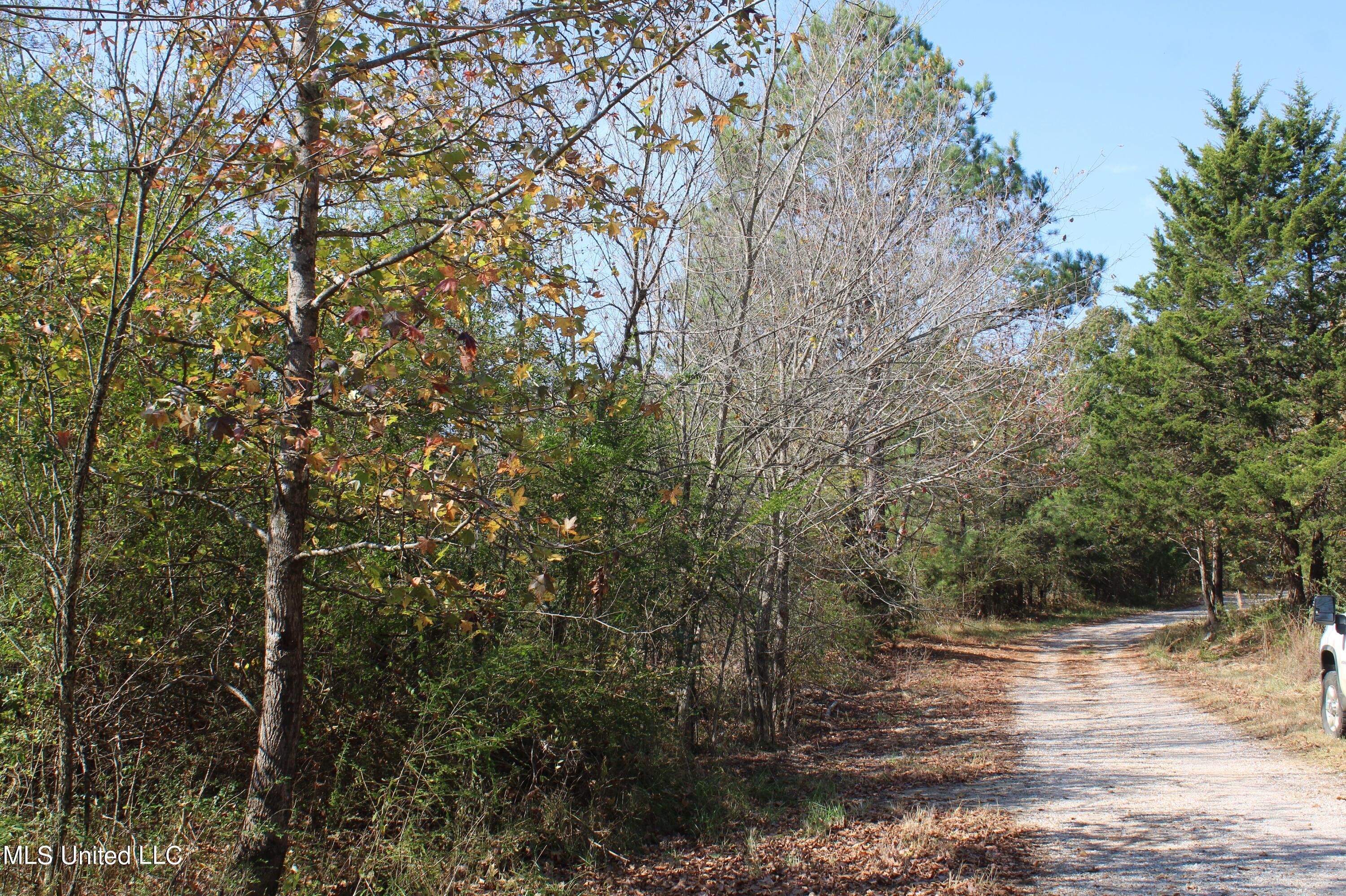 1039 McAlexander Road Holly Springs, MS 38635 - Photo 8 of 18 IMG_0258