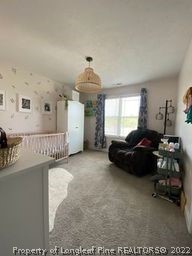 977 Townsend Road Raeford, NC 28376 - Photo 10 of 24 Gallery Image 10