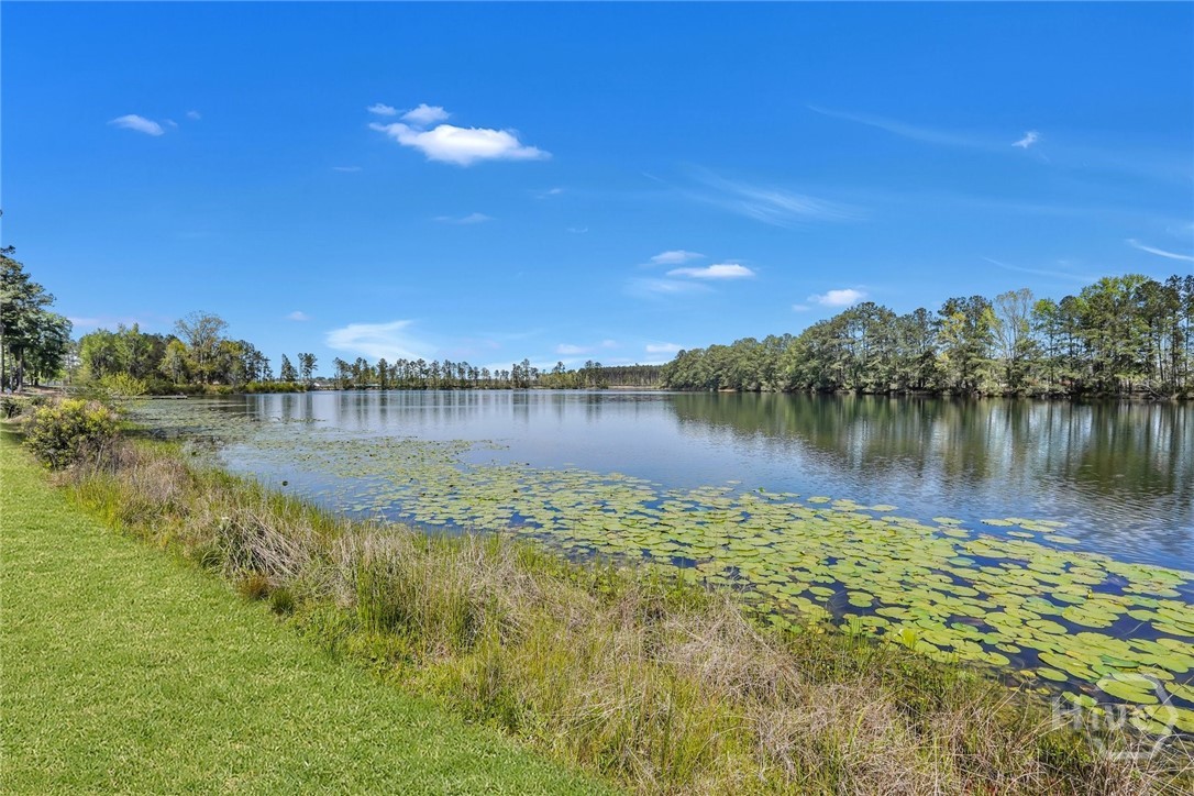 314 Crabapple Circle Port Wentworth, GA 31407 - Photo 48 of 50