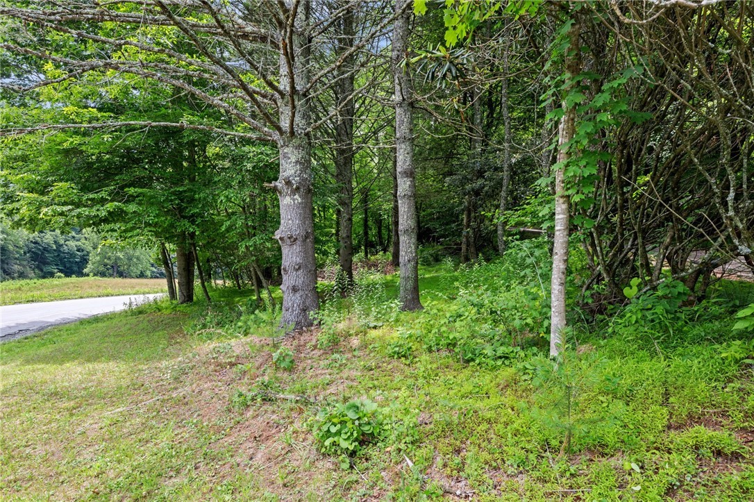 281 New Riv Farms Road Fleetwood, NC 28626 - Photo 41 of 49