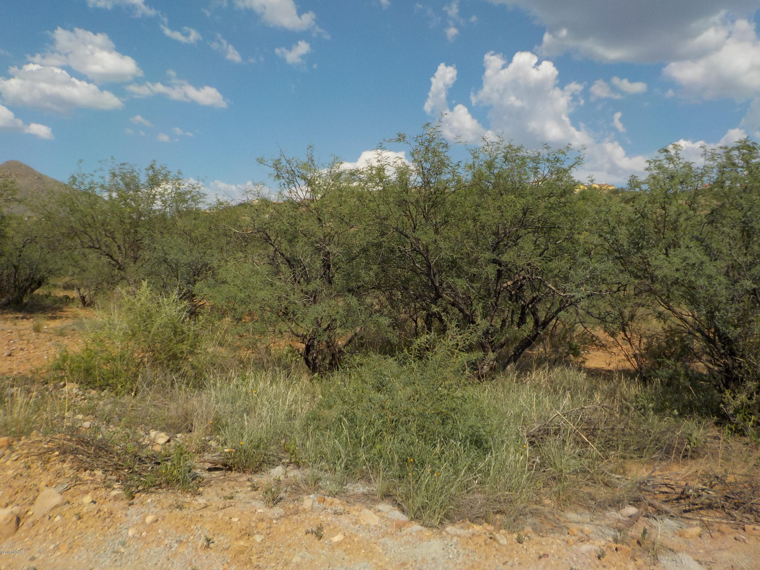 1285 Oficio Court, Unit 49 Rio Rico, AZ 85648 - Photo 1 of 3