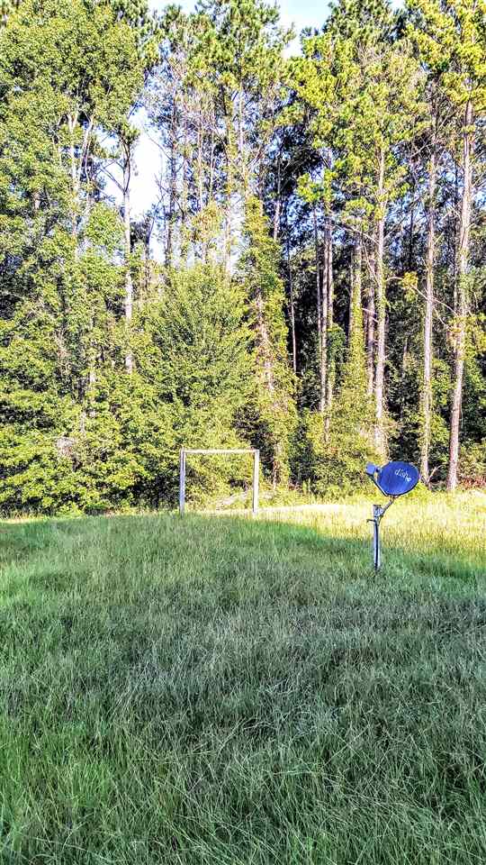 2578 Frank Smith Road Quincy, FL 32352 - Photo 3 of 24 Gallery Image 3