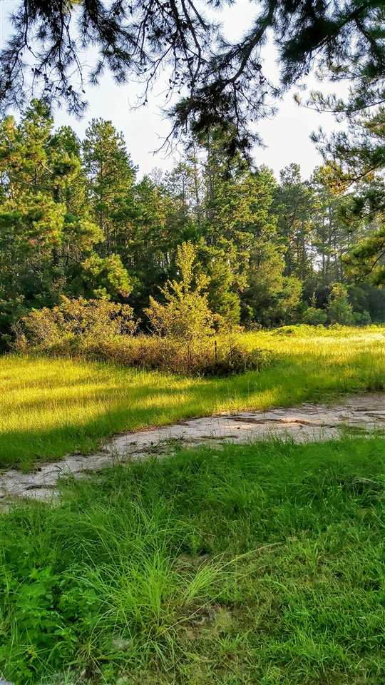 2578 Frank Smith Road Quincy, FL 32352 - Photo 4 of 24 Gallery Image 4