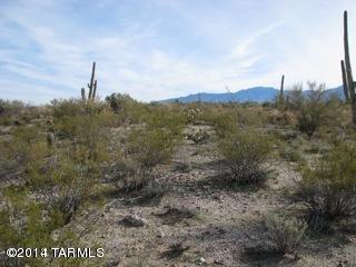 9741 North Blue Bonnet Road Tucson, AZ 85742 - Photo 8 of 46 Gallery Image 8
