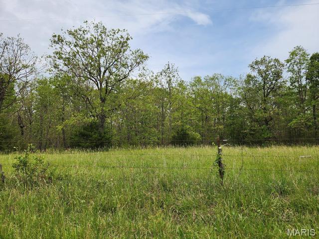 53 Wagon Wheel Road Conway, MO 65632 - Photo 20 of 21