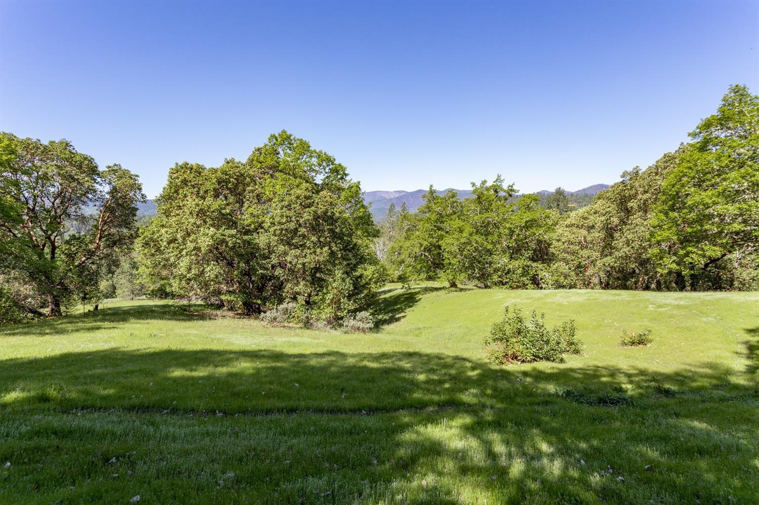 Tl100 Lower River Road Grants Pass, OR 97526 - Photo 28 of 35 a view of a grassy area