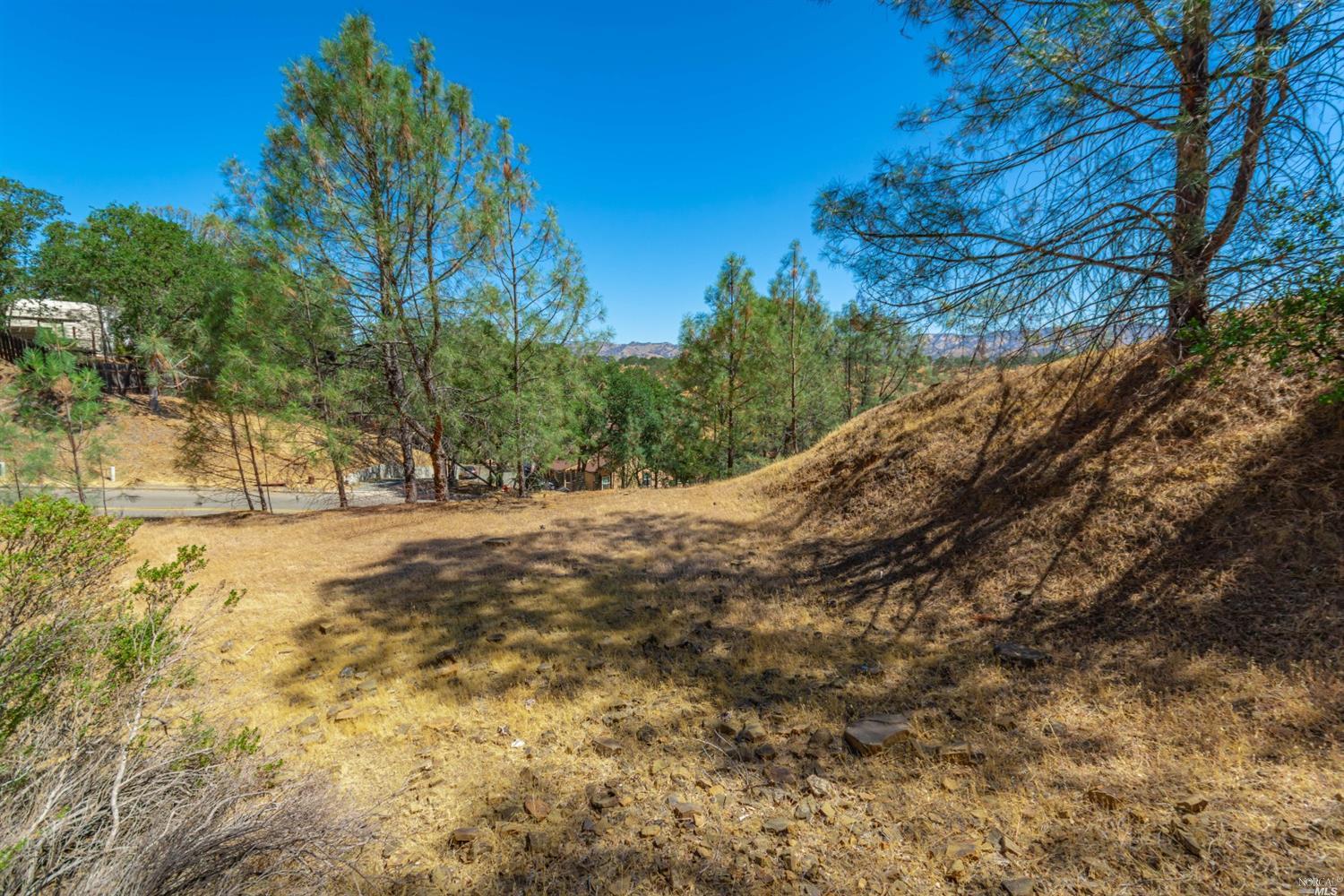 1268 Steele Canyon Road Napa, CA 94558 - Photo 11 of 29 a view of road view with large trees