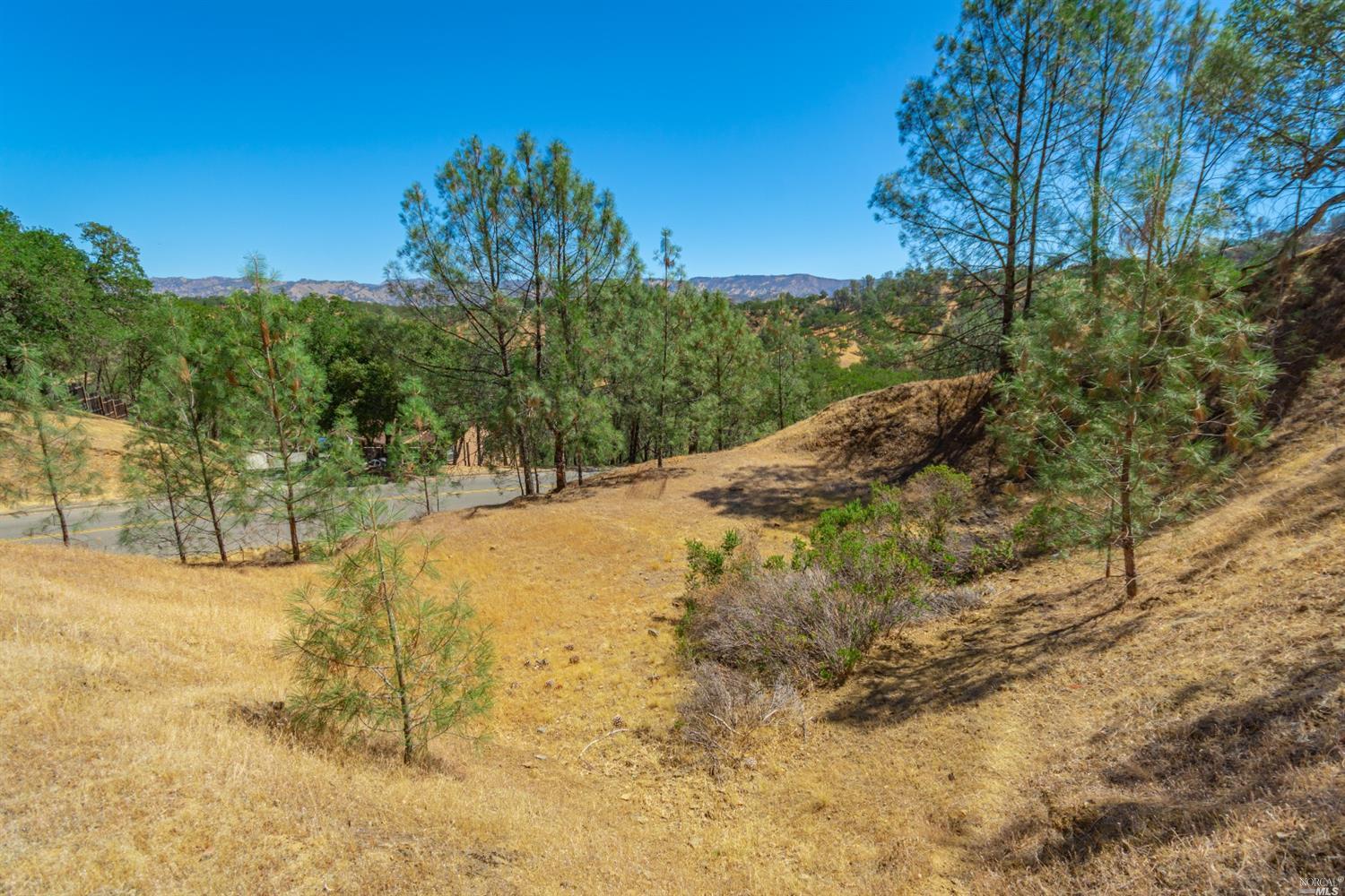 1268 Steele Canyon Road Napa, CA 94558 - Photo 12 of 29 a view of a yard with tree