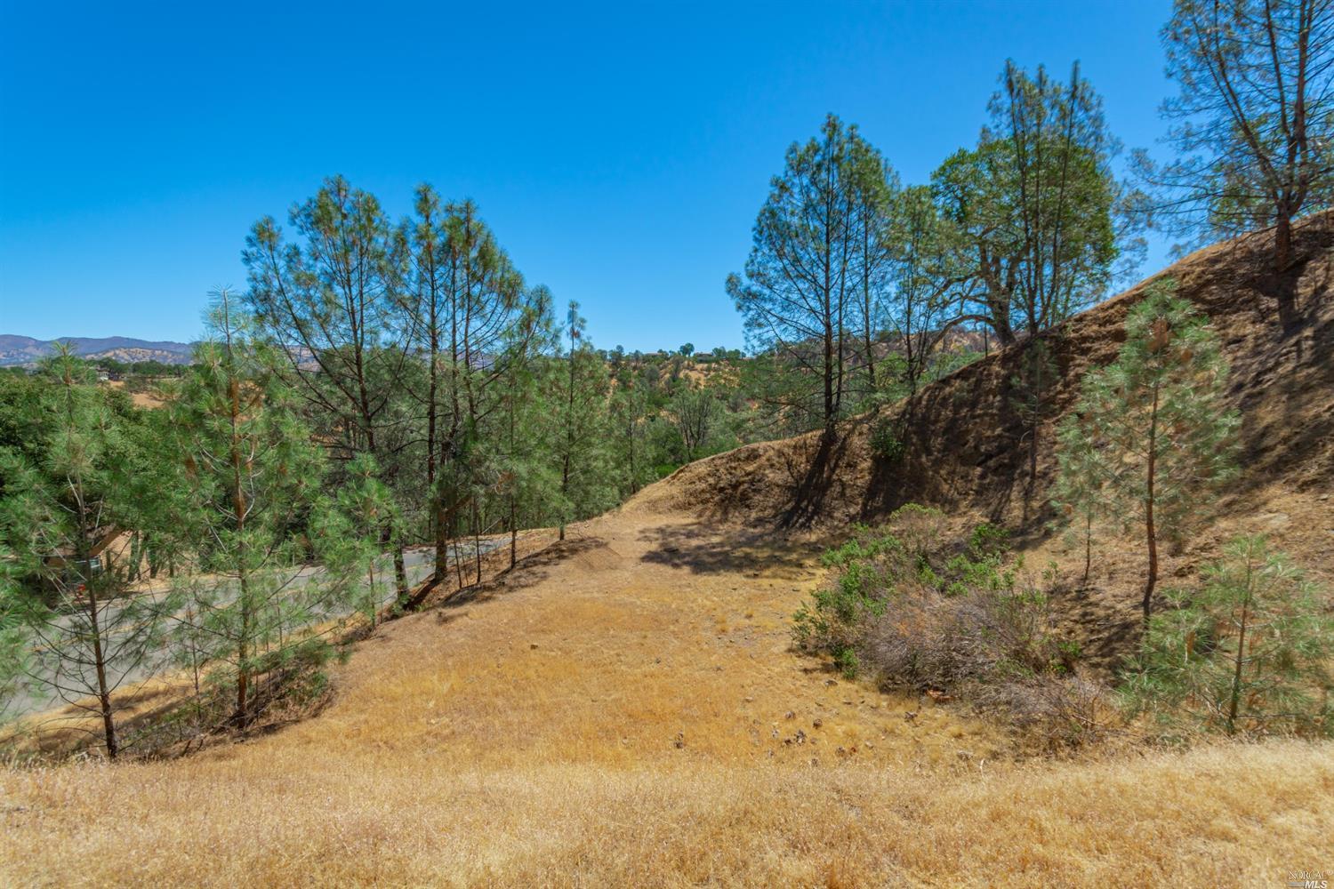 1268 Steele Canyon Road Napa, CA 94558 - Photo 13 of 29 a view of a road with a trees in the background