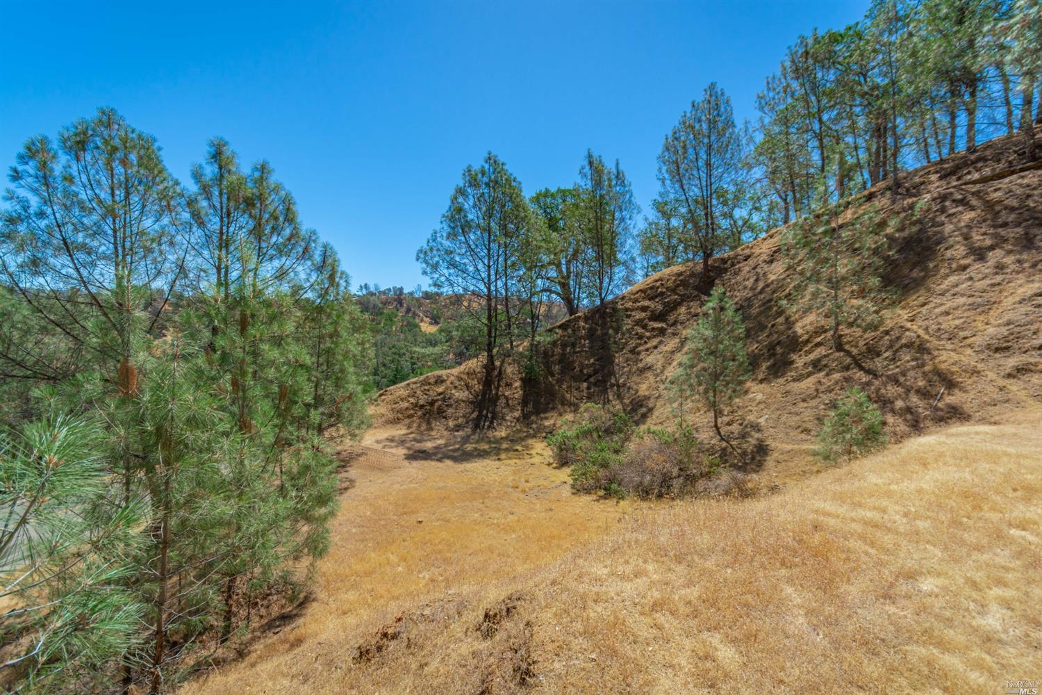 1268 Steele Canyon Road Napa, CA 94558 - Photo 14 of 29 a view of a yard with trees