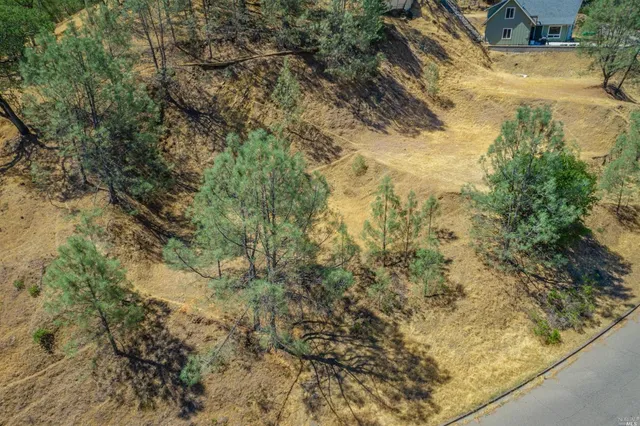 a view of a yard with trees