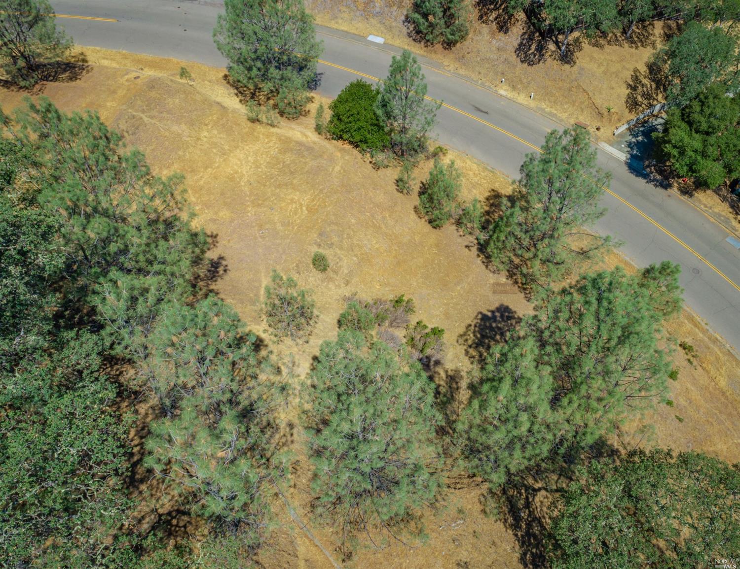 1268 Steele Canyon Road Napa, CA 94558 - Photo 24 of 29 an aerial view of a houses with yard