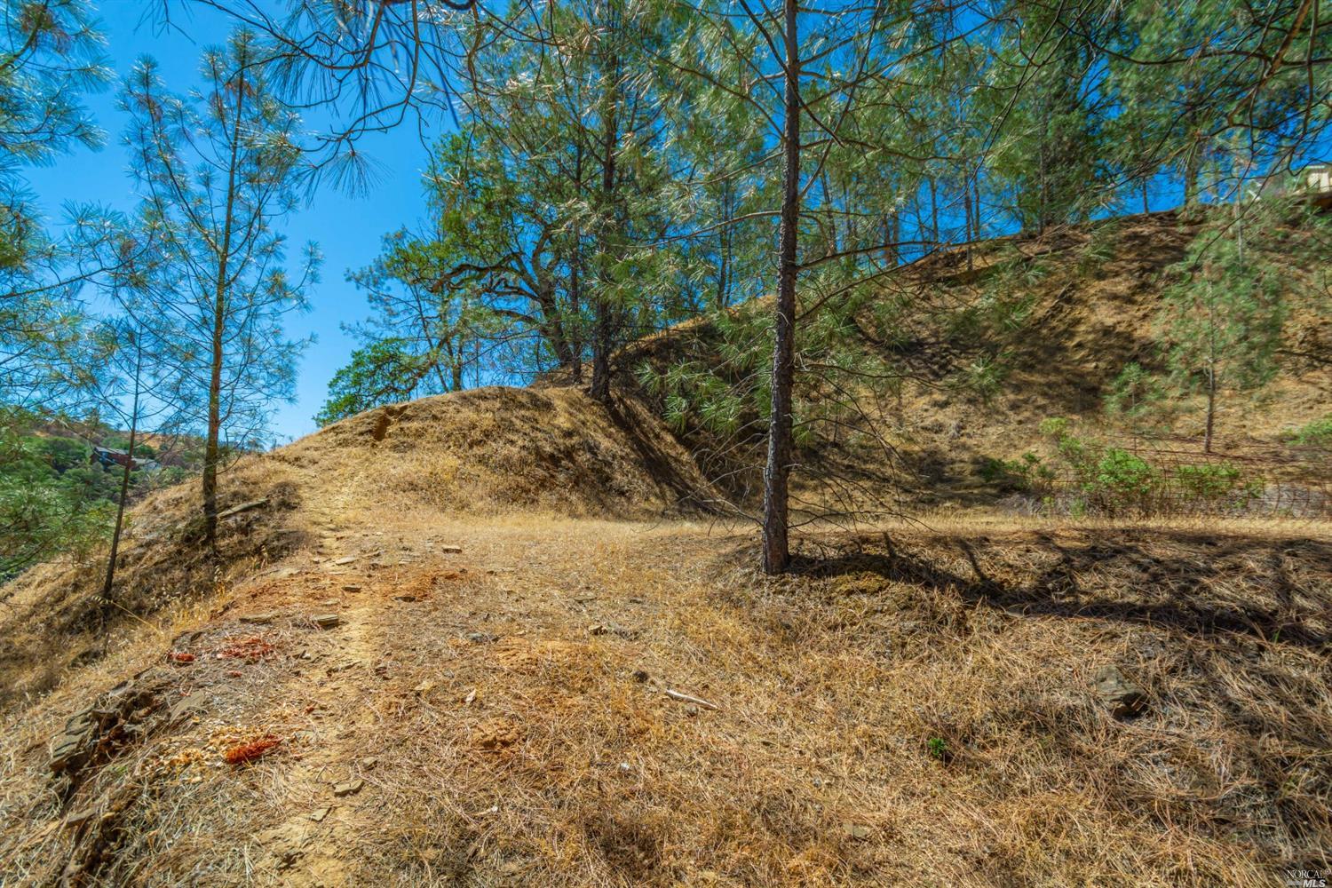 1268 Steele Canyon Road Napa, CA 94558 - Photo 4 of 29 a view of a yard with trees