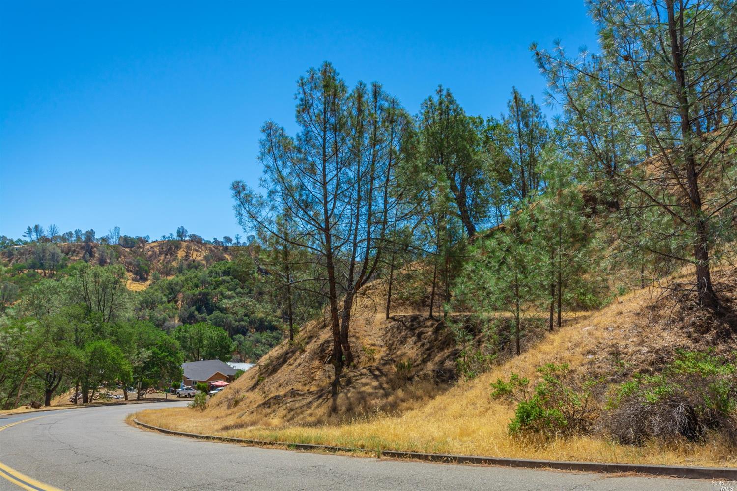 1268 Steele Canyon Road Napa, CA 94558 - Photo 5 of 29 a view of a yard