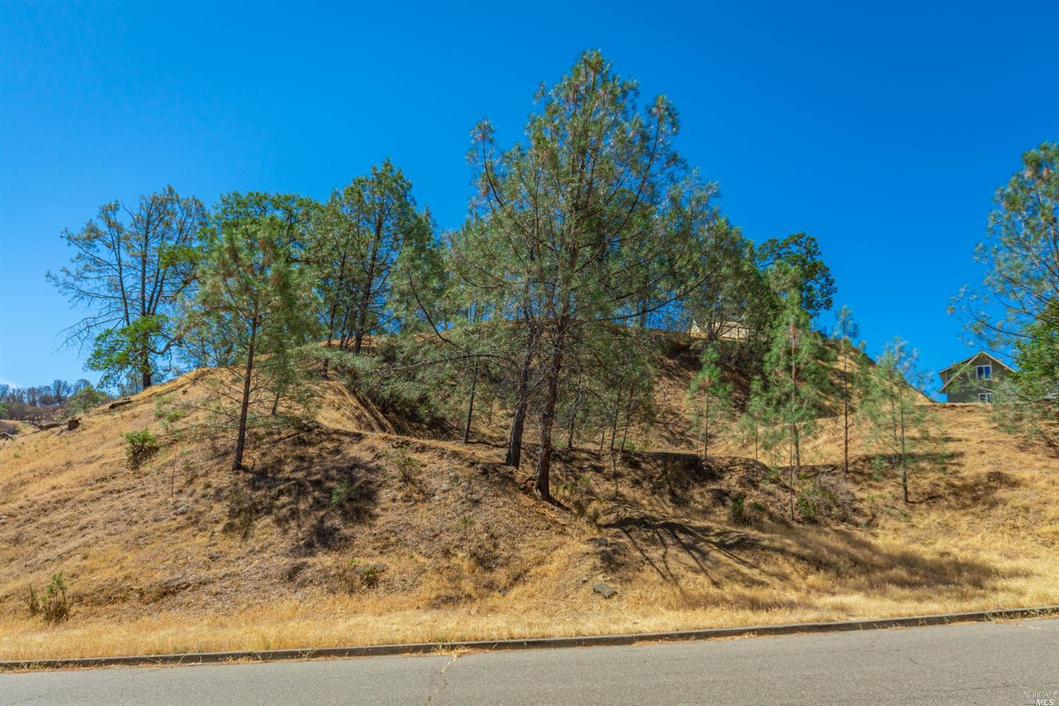 1268 Steele Canyon Road Napa, CA 94558 - Photo 6 of 29 a view of a yard