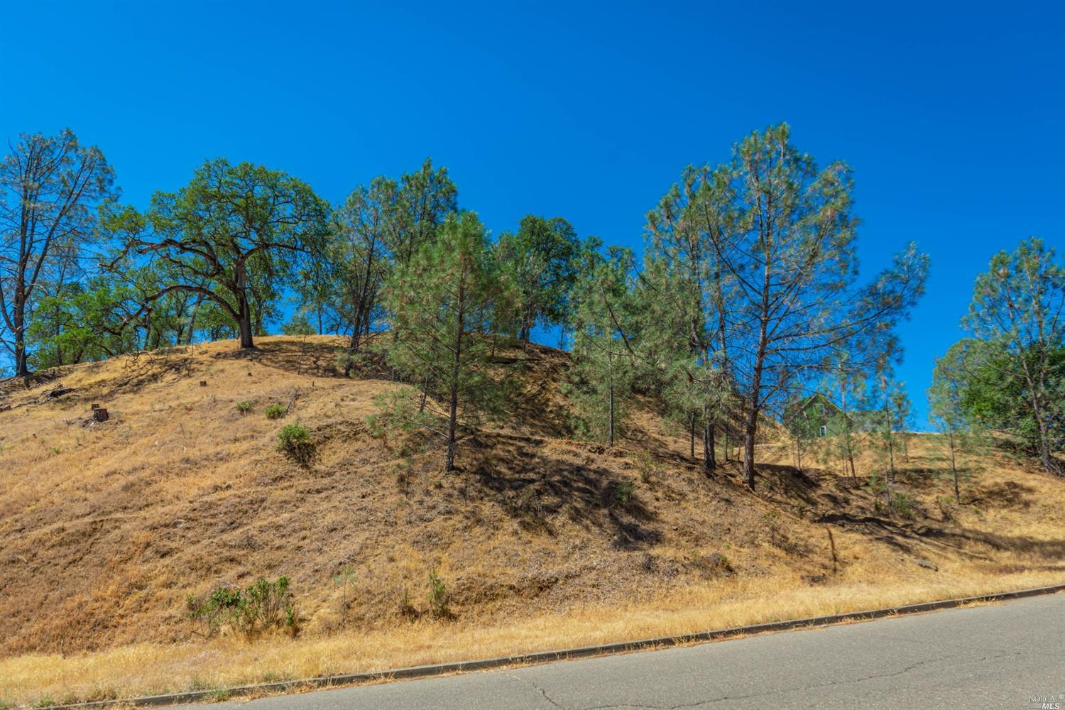 1268 Steele Canyon Road Napa, CA 94558 - Photo 7 of 29 a view of a yard with a tree