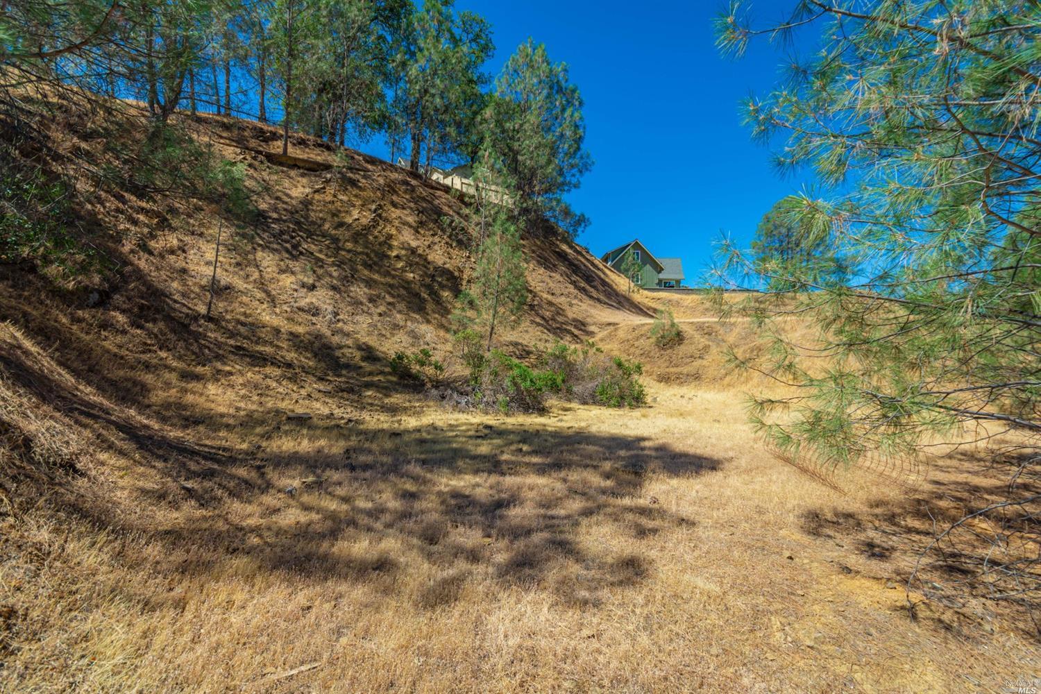 1268 Steele Canyon Road Napa, CA 94558 - Photo 8 of 29 a view of a yard with large trees