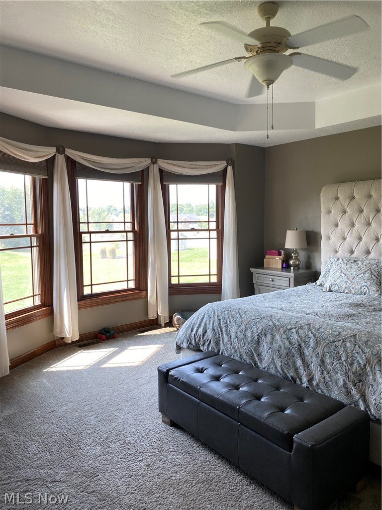 2456 Queensbury Road Alliance, OH 44601 - Photo 13 of 33 Master bedroom