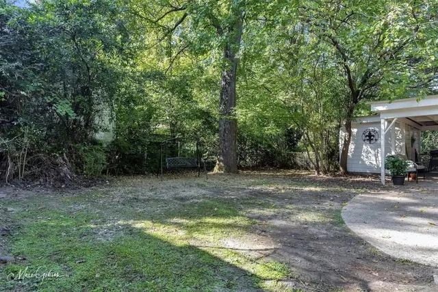 a view of a yard with a tree