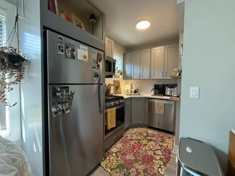 $2,285 | 1137 Oak Avenue, Unit 3W, Evanston, IL 60202