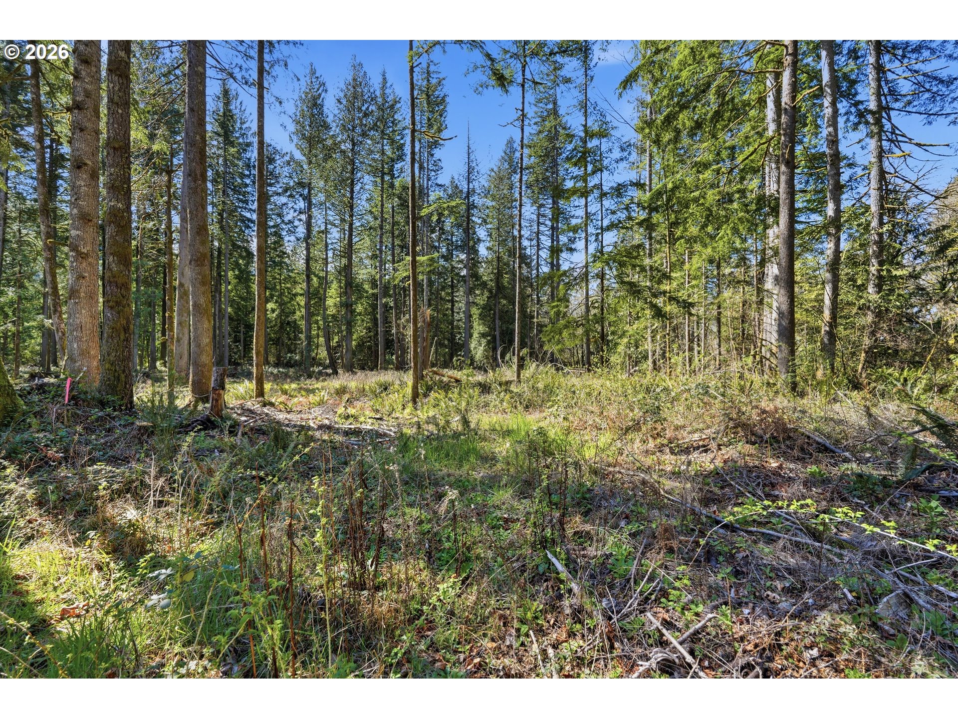 57214 East Marmot Road Sandy, OR 97055 - Photo 40 of 48