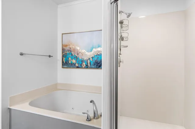 a bathroom with a tub and a shower