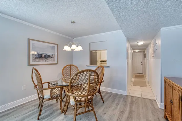 a living room with furniture a ceiling fan and a rug