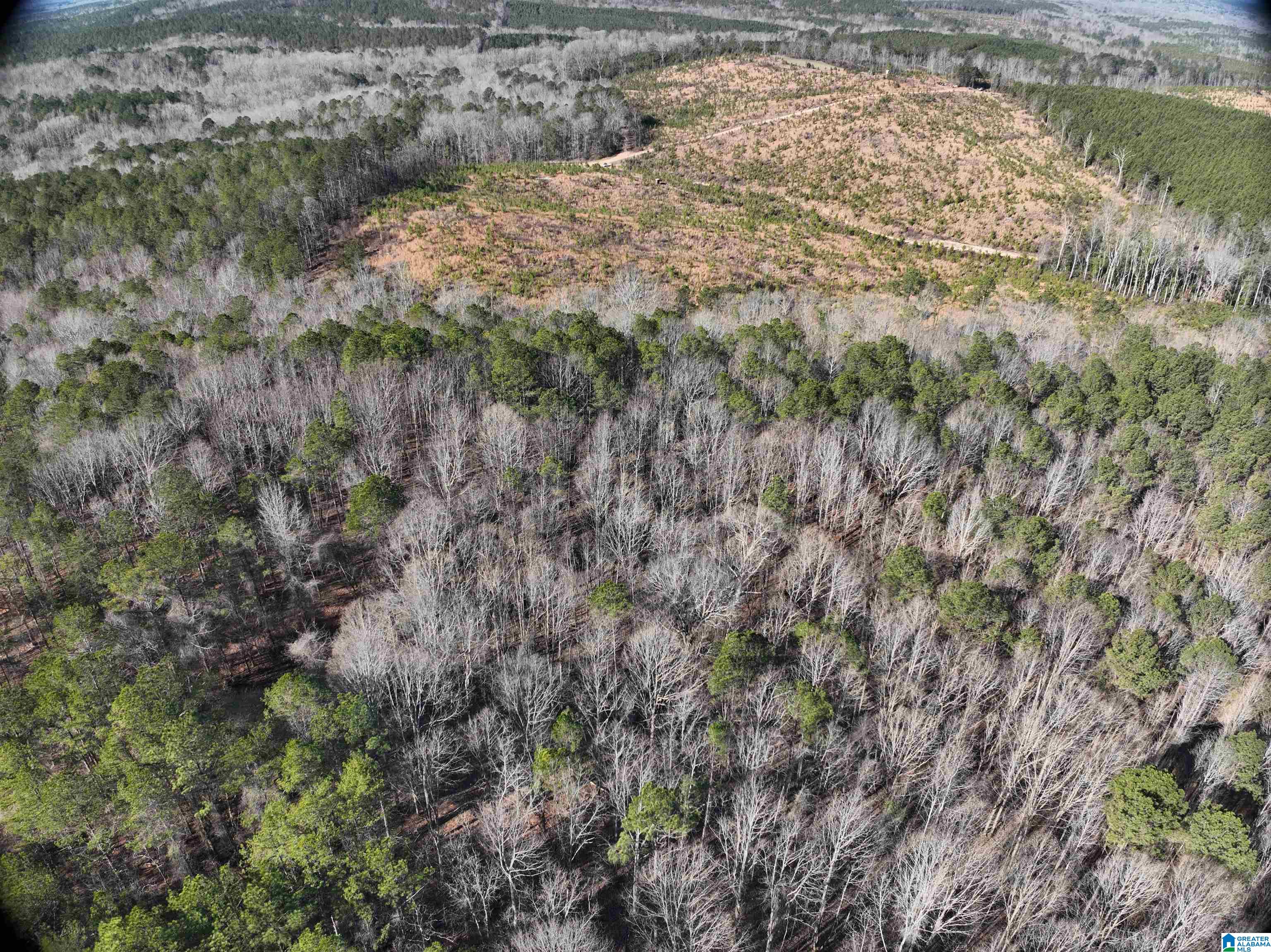 6171 Highway 102, Unit 1 Fayette, AL 35555 - Photo 18 of 68
