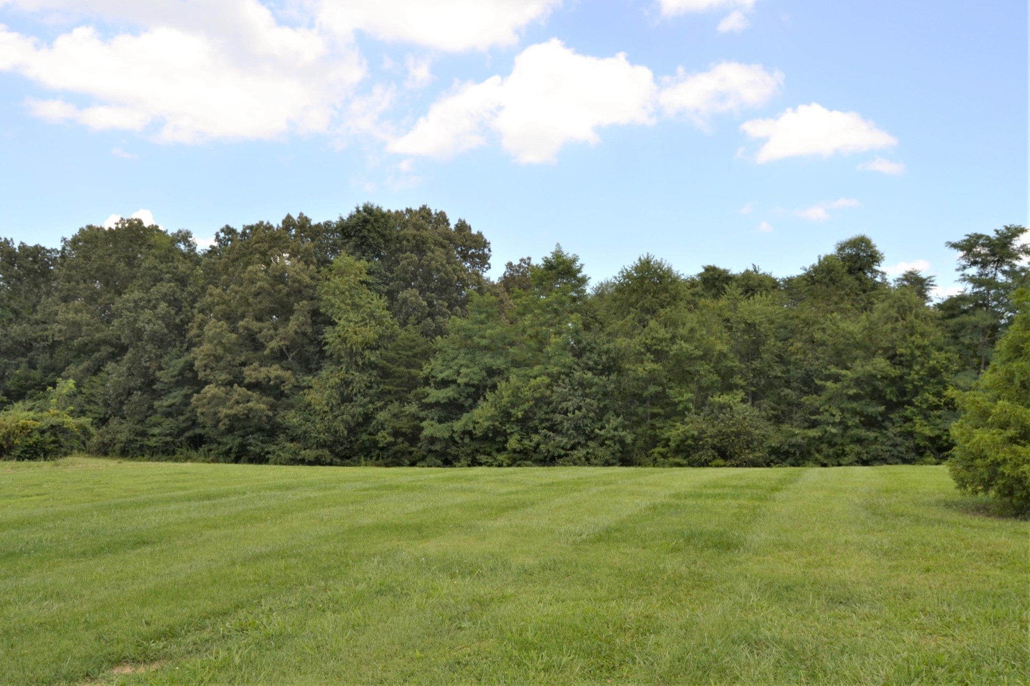 202 Short Road Crossville, TN 38555 - Photo 31 of 31 Gallery Image 31