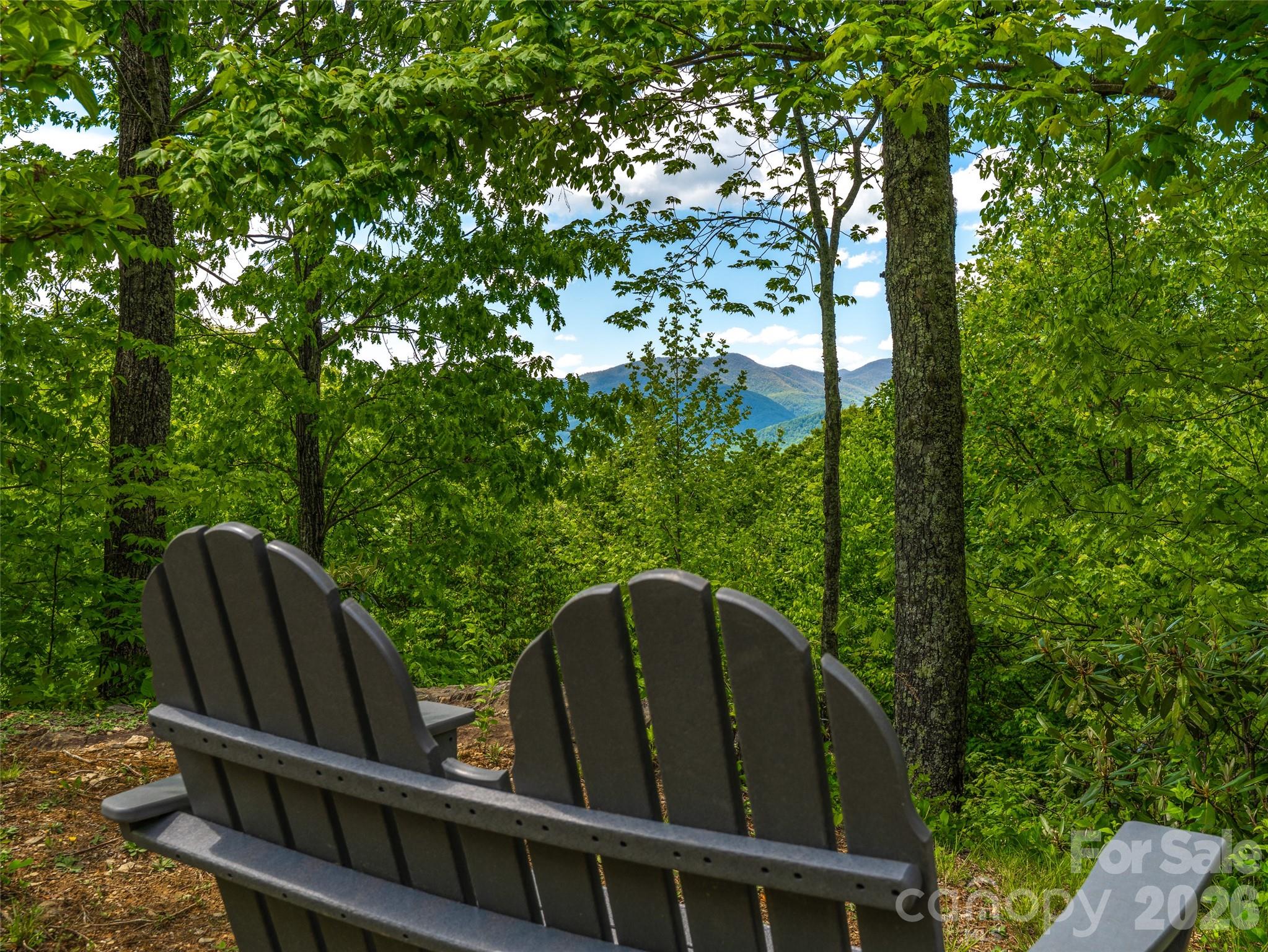 11 Crockett Ridge Road Black Mountain, NC 28711 - Photo 17 of 19 a view of two chairs in a backyard