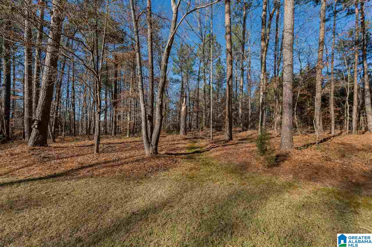 19943 Highway 411 Springville, AL 35146 - Photo 33 of 36