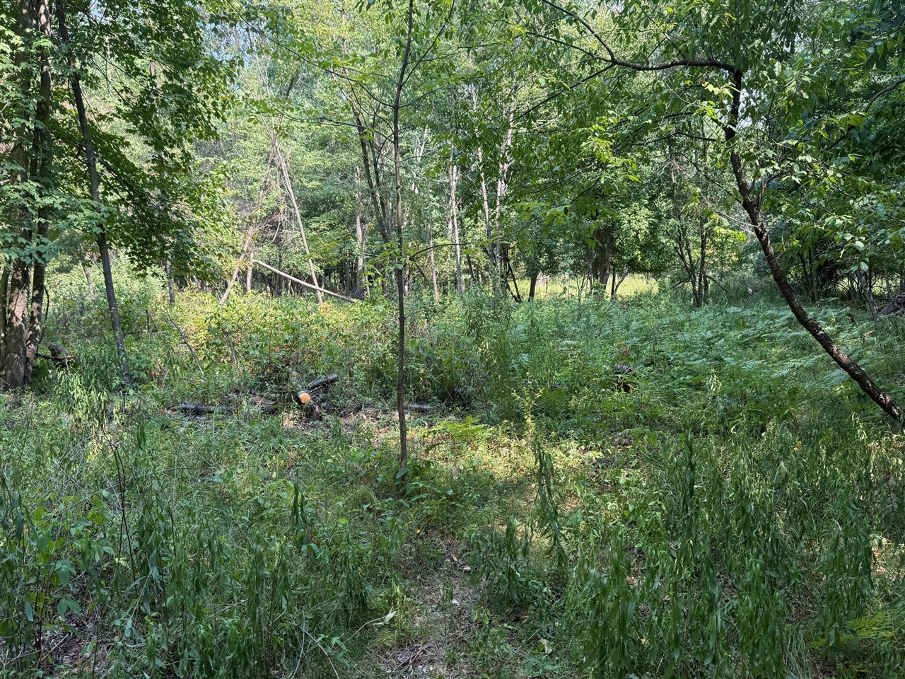 West Peet Road Bannister, MI 48807 - Photo 9 of 22