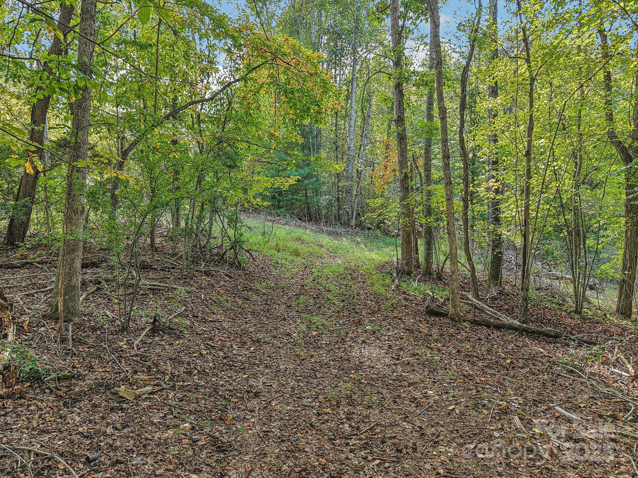 Tbd Upper Glady Fork Road Candler, NC 28715 - Photo 3 of 11