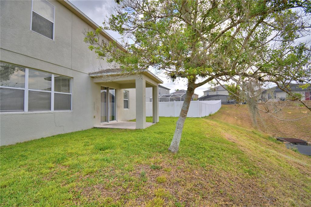 154 Canna Drive Davenport, FL 33897 - Photo 77 of 85 a view of a house with backyard and a tree