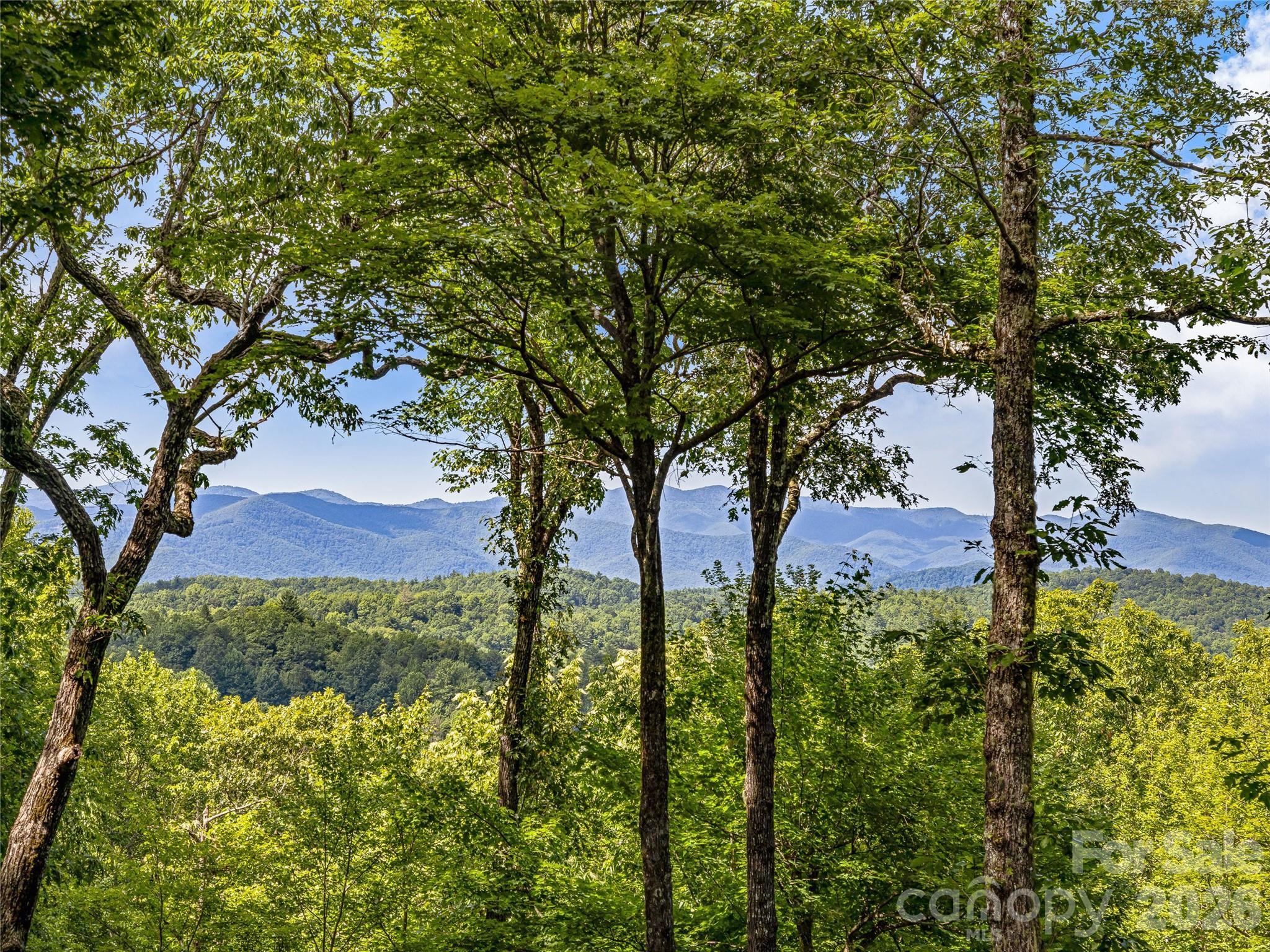 796 Hawk Mountain Road, Unit 36R Lake Toxaway, NC 28747 - Photo 32 of 39 a view of an outdoor space and a yard