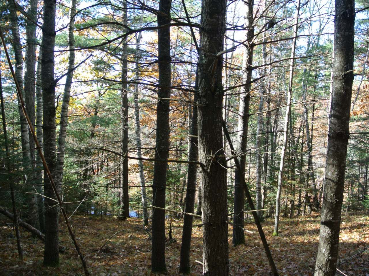 Lot 339 Ridgewood Drive Minocqua, WI 54548 - Photo 21 of 27 Gallery Image 21