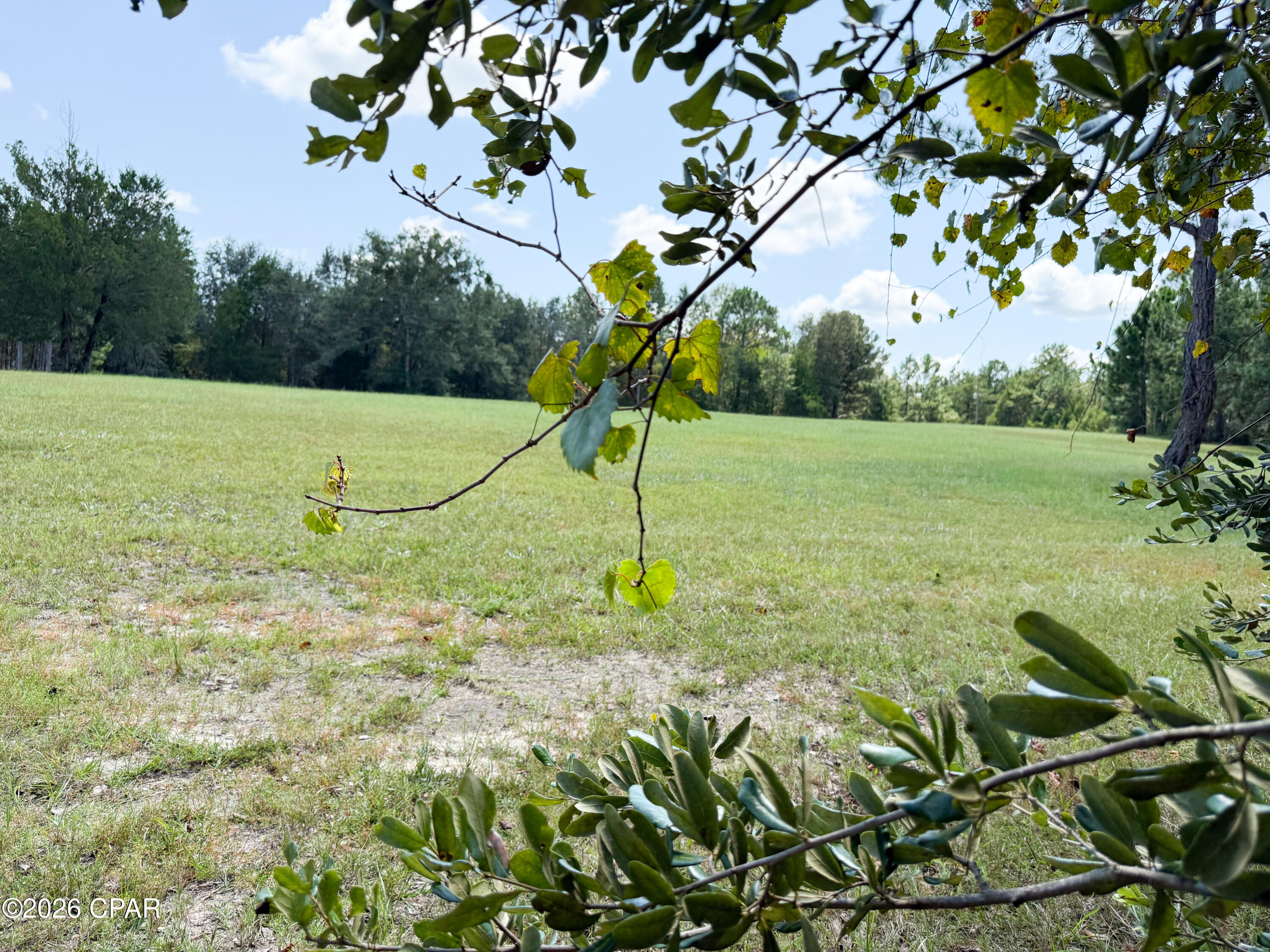 3813 Sand Path Road Bonifay, FL 32425 - Photo 17 of 28 Gallery Image 17