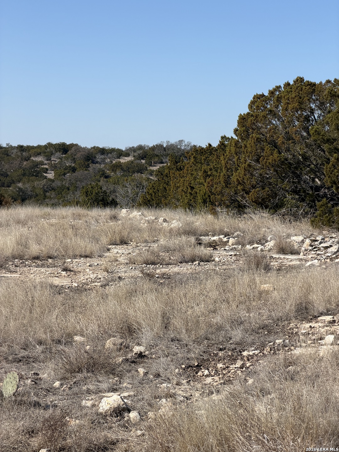 498 Sd 45330 Rocksprings, TX 78880 - Photo 19 of 20