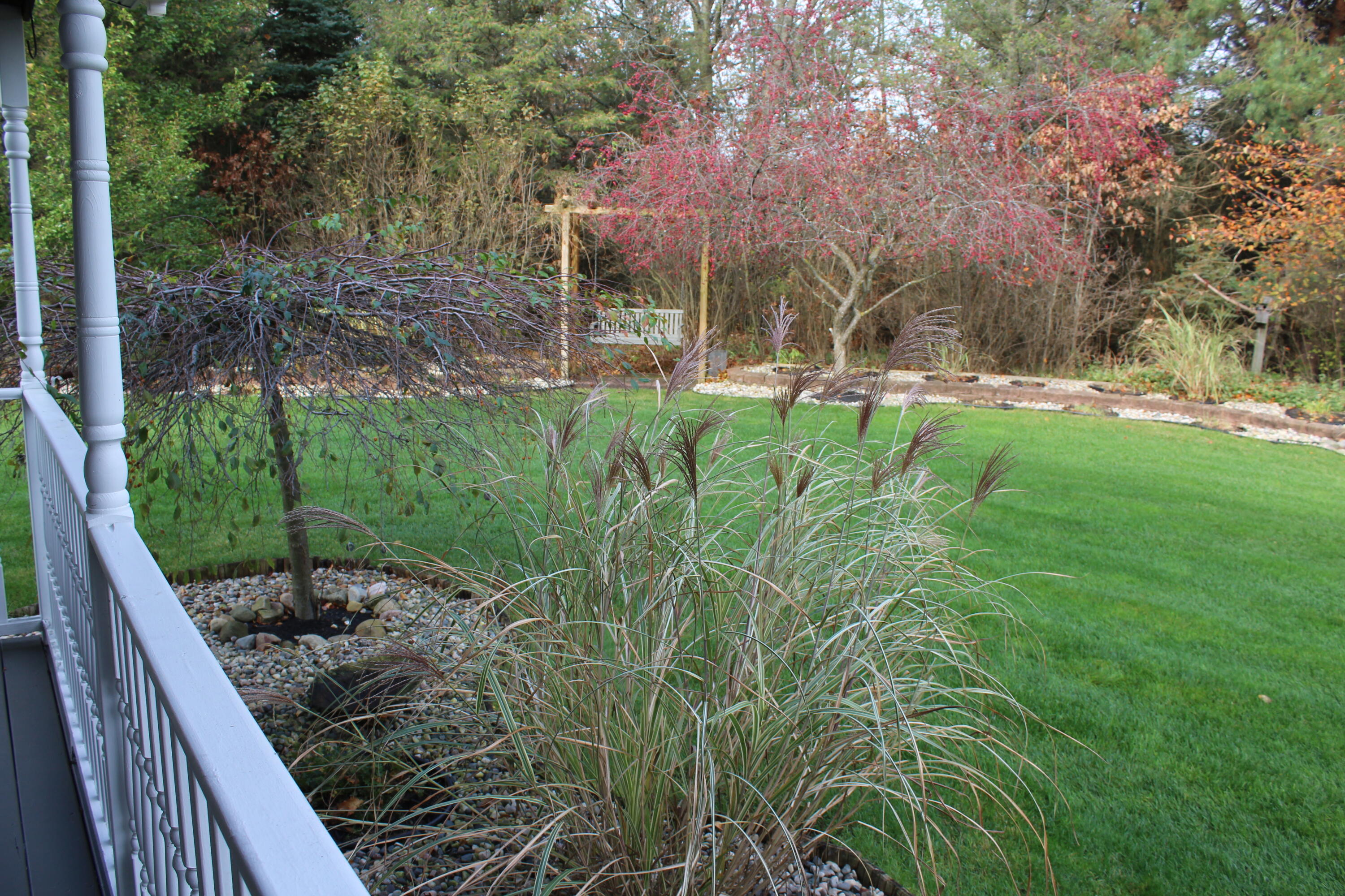 10038 Riley Lane Greenville, MI 48838 - Photo 14 of 35 Beautifully Landscaped
