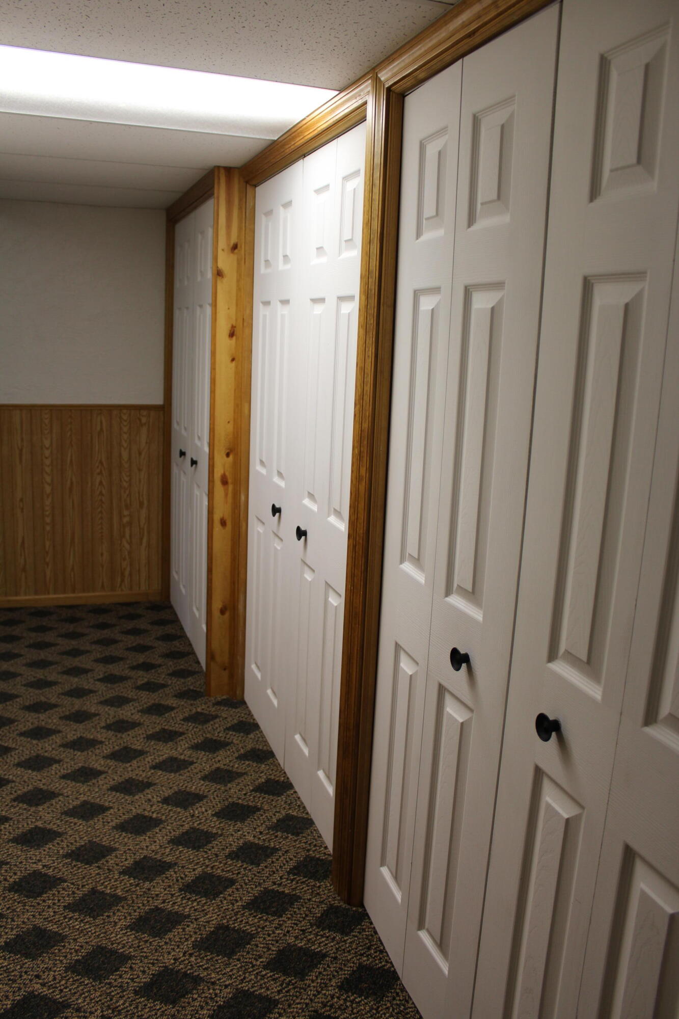 10038 Riley Lane Greenville, MI 48838 - Photo 33 of 35 IMG_5814
