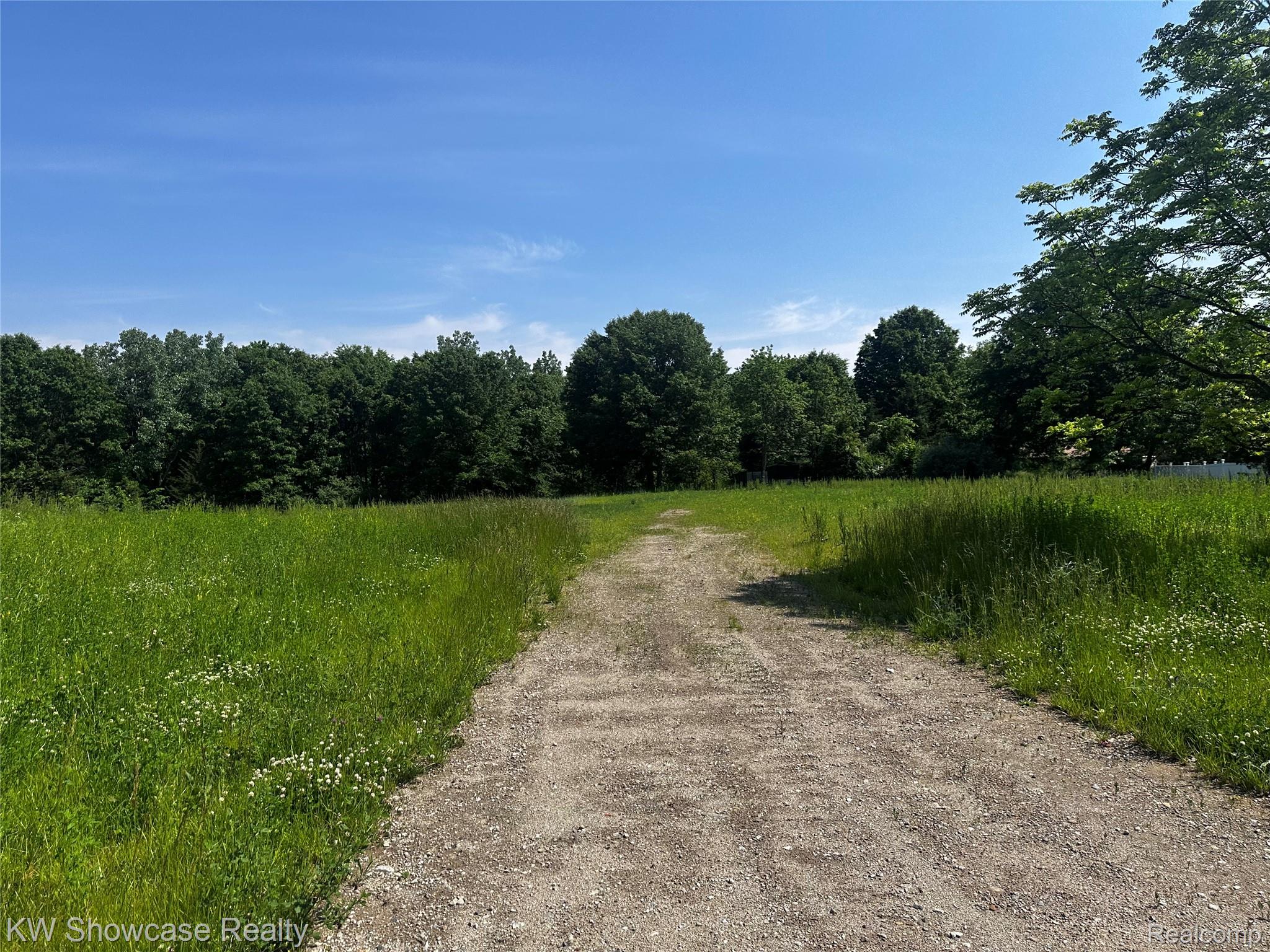 0 Spicer Road Whitmore Lake, MI 48189 - Photo 19 of 26 Graded wooded lot