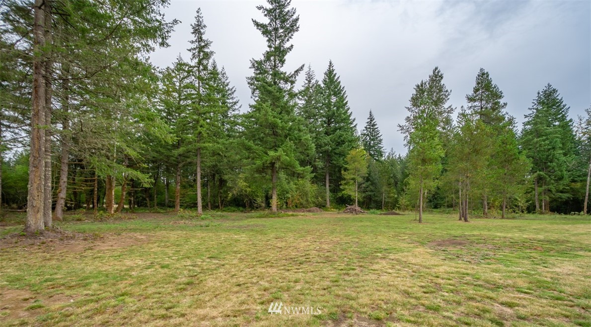 261 Gartner Road Winlock, WA 98596 - Photo 9 of 24