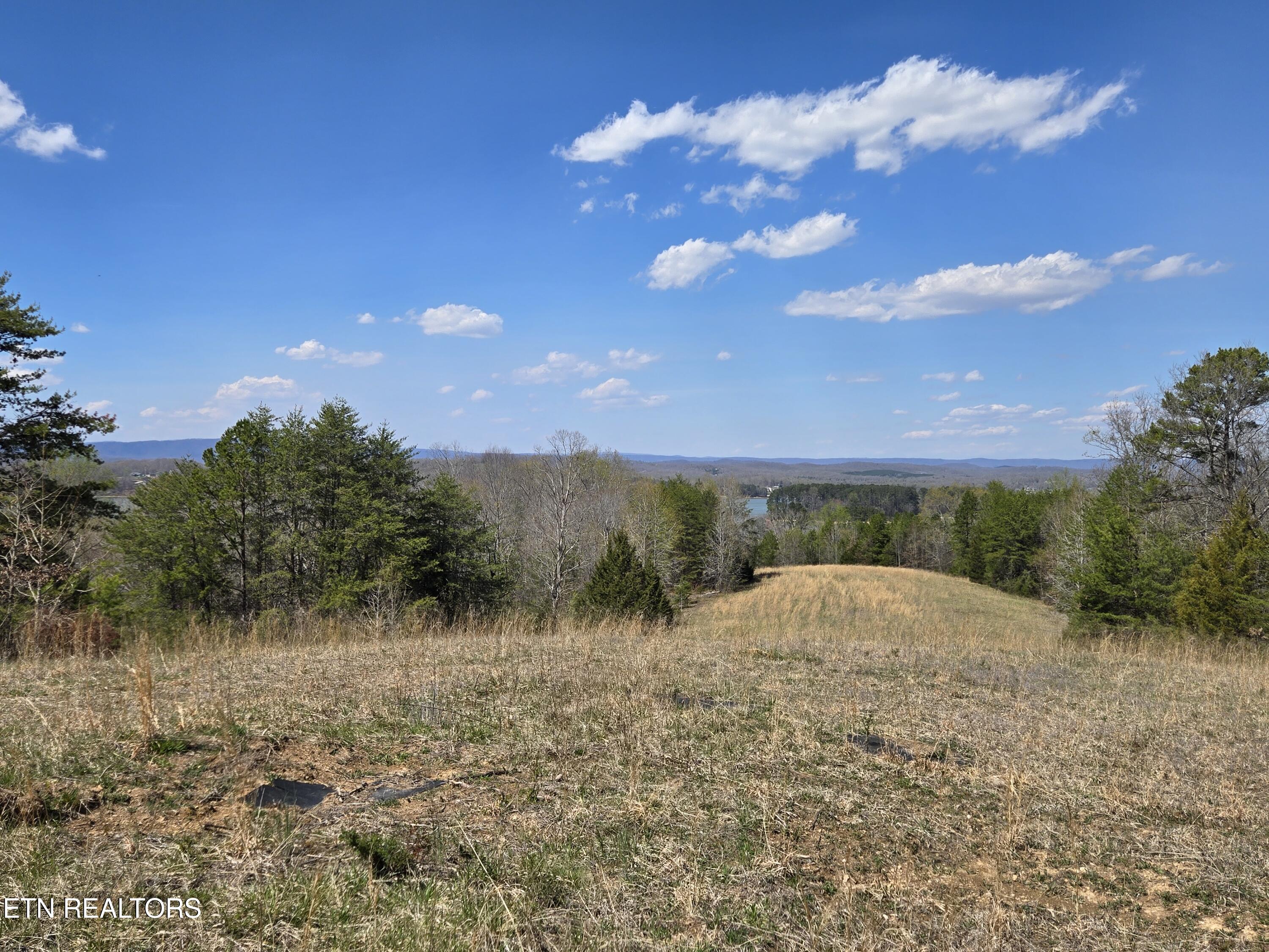 2405 River Road Kingston, TN 37763 - Photo 11 of 14 20250326_145425